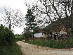 Brančić, Straße