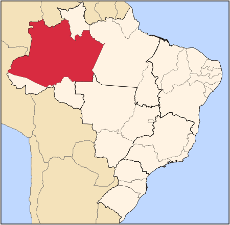 Amazonas (negeri Brazil)