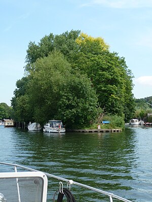 Bridge Eyot (looking upstream)