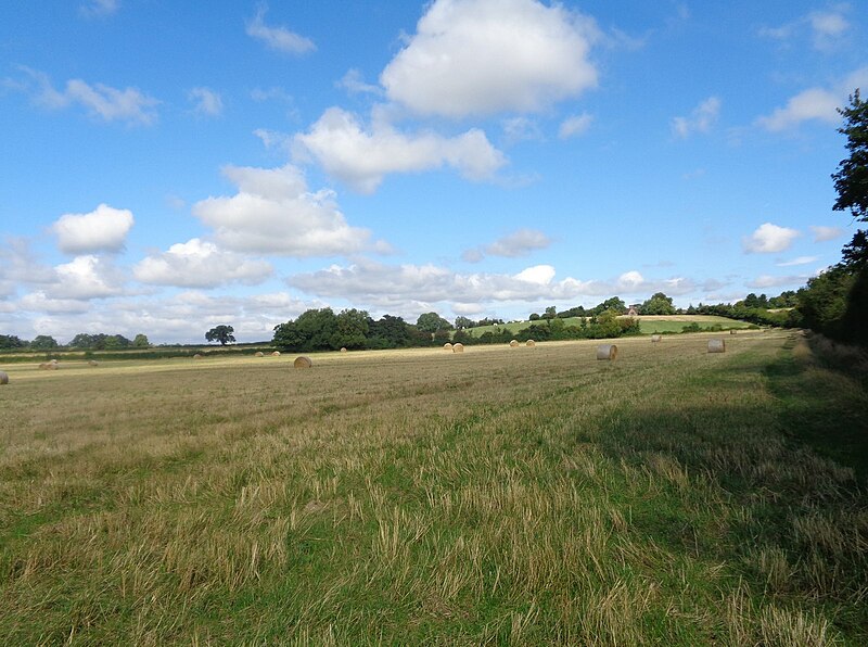 File:Bridleway to Hill Court, Grafton Flyford - geograph.org.uk - 5105766.jpg