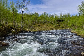 Пороги на річці Кесуон (швед. Kesuån), правої притоки Юнган.