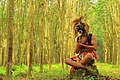 The Javanese Bujang Ganong masked dancer, part of Reog, in North Sumatera