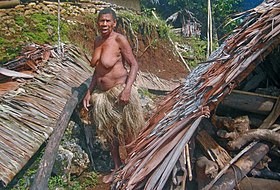 Незванный гость (о. Пентекост, Вануату, 2020) Фото сделано в Экспедиции к островам Океании