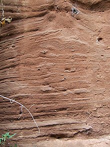 Bunter Sandstone (detail), Hopstone, Shropshire - geograph.org.uk - 419156.jpg