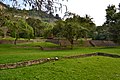 CUYUXQUIHUI, Ruins, near VERACRUZ - panoramio.jpg