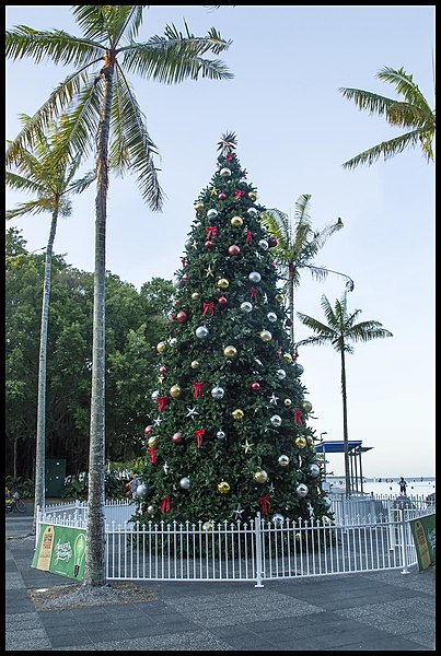 File:Cairns 2015 Christmas Tree-1 (22955485283).jpg