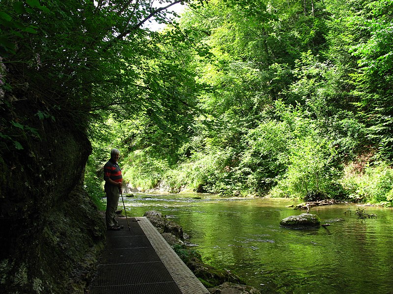 File:Cascades du Hérisson (6045043191).jpg