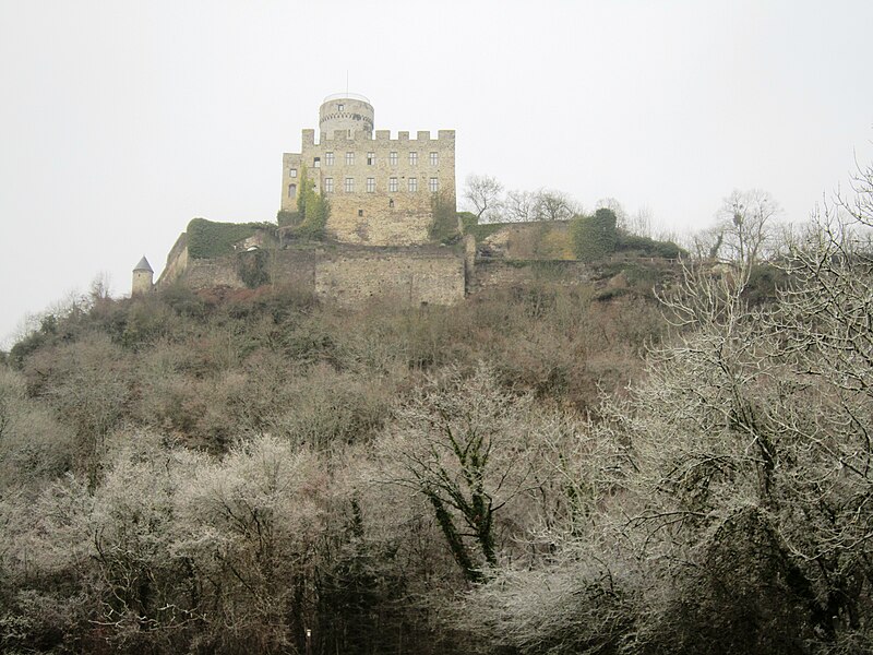 File:Castle Pyrmont - Roes - Rheinland-Pfalz - Germany 01.JPG