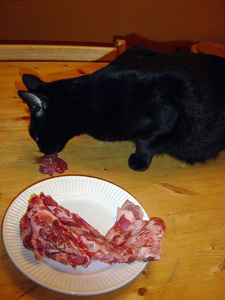 Tập_tin:Cat_feeding_on_raw_pork_neck.jpg