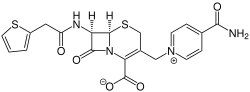 Structure of cefalonium