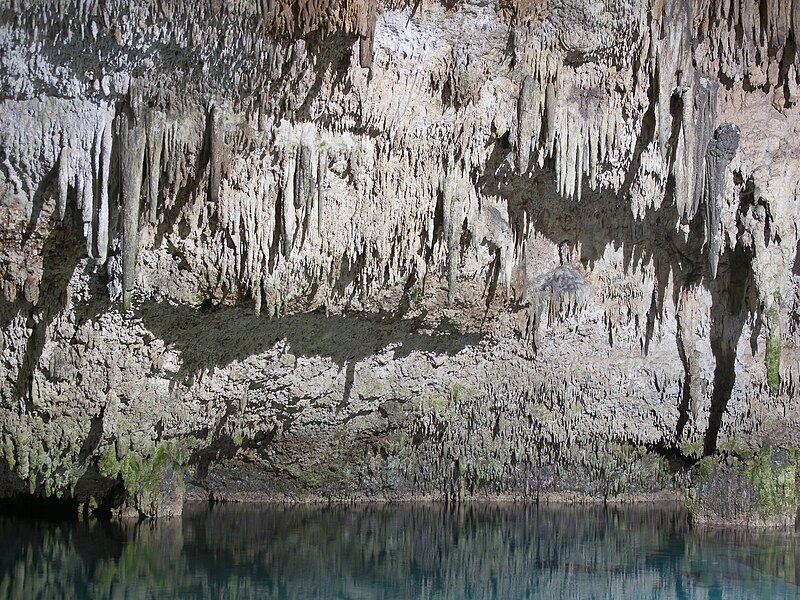 File:Cenote Choo-Ha - Cobá-1.jpg