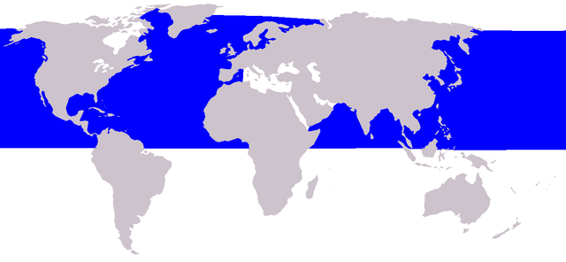 Distribución de Balaenoptera acutorostrata.