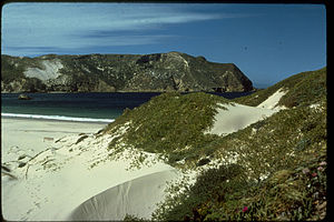 Channel Islands National Park CHIS8060.jpg