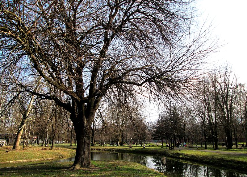 File:City Park in Skopje 67.JPG