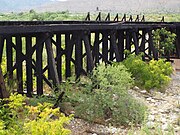 Trestle bridge -1910