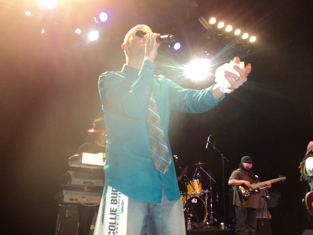 Collie Buddz