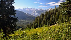 Meadow and forest habitat along the Copper Creek Trail, north side of Kings Canyon. Copper Creek Trail.jpg