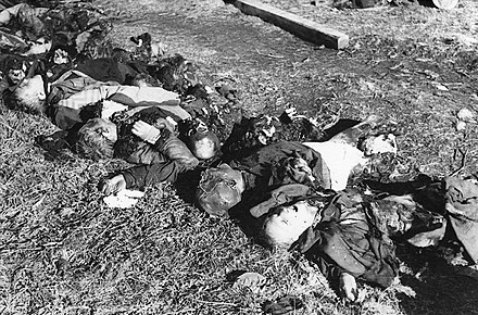 Des cadavres retrouvés au camp de concentration de Klooga après la libération.