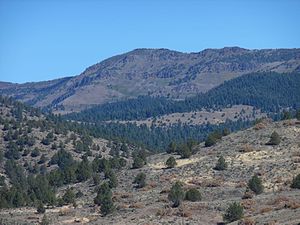 Crane Mountain, comté de Lake, Oregon.jpg