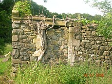 The possible 'cottage orne' beside the Annick Water, showing the high-quality ashlar stonework. Cunninghamhead1.JPG