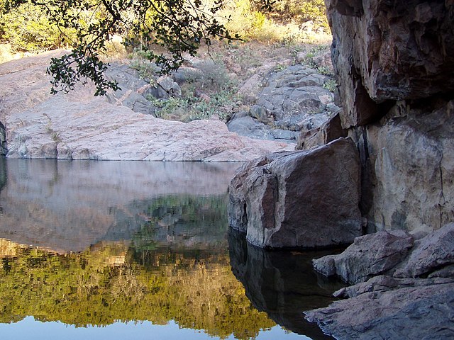 are dogs allowed at inks lake state park