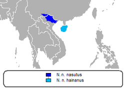 Distribución de las subespecies de N. nasutus, N. n. hainanus y N. n. nasutus