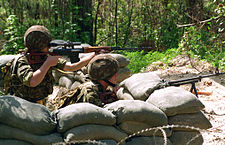 ドラグノフ狙撃銃 - Wikipedia