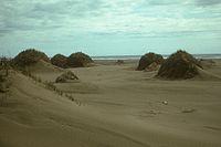 Sand dunes and vegetation, Nunivak Island