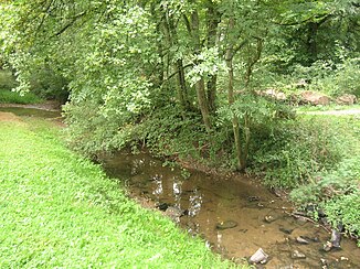 The Eberbach in the Hagenauer Forest