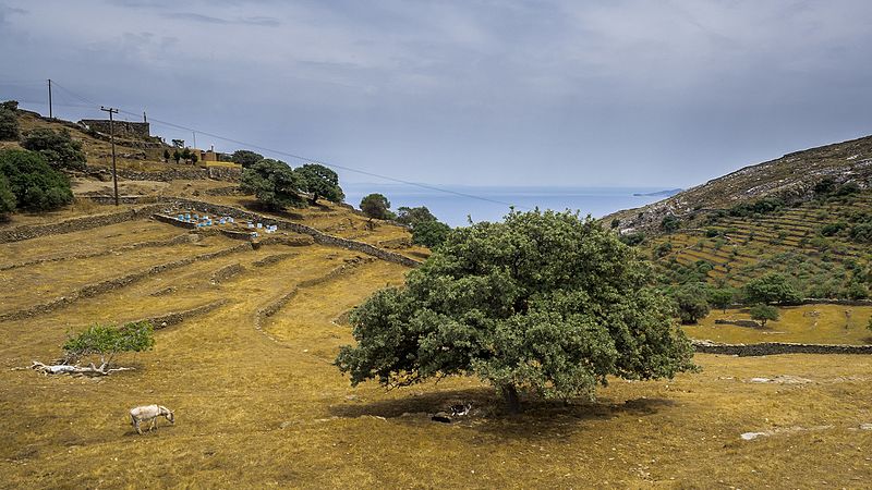 File:East Kea Fields.jpg