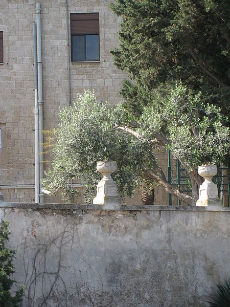 File:Eastern Facade of the Stella Maris Monastery IMG 0419.JPG