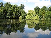 Basin Lake, located in Canons Drive to the west of Edgware. It is located in the borough of Harrow