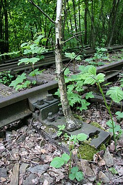 Rails near to the former S-Bahn- (city train) station "Olympiastadion" in München. Gleise der ehemaligen S-Bahnstation Olympiastadion" in München.