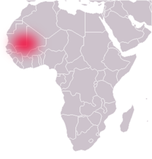 Location of the Ghana Empire Empire ghana.png