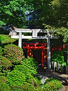 The entrance to the path of torii in Nezu Shrine, Tokyo.