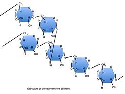 Estructura molecular fragmento dextrano.jpg