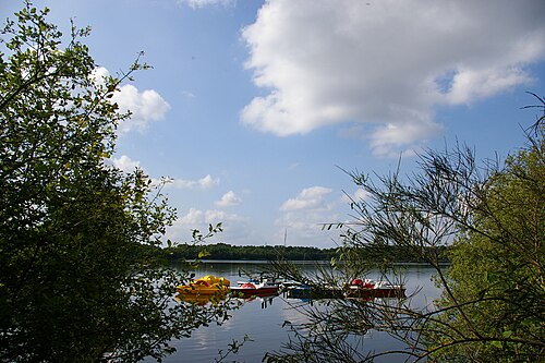 Volet roulant Mézangers (53600)