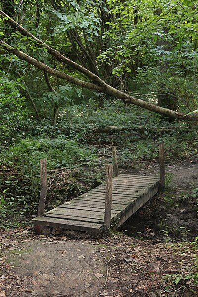 File:Ettingebos 18.jpg