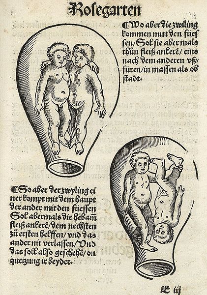 File:Eucharius Rösslin - Der schwangeren Frauen und Hebammen Rosengarten.jpg