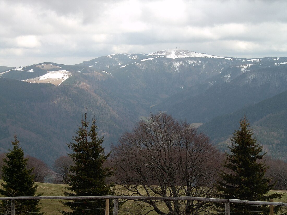 Feldberg (bukid sa Alemanya, Baden-Württemberg Region, Freiburg Region, lat 47,87, long 8,00)