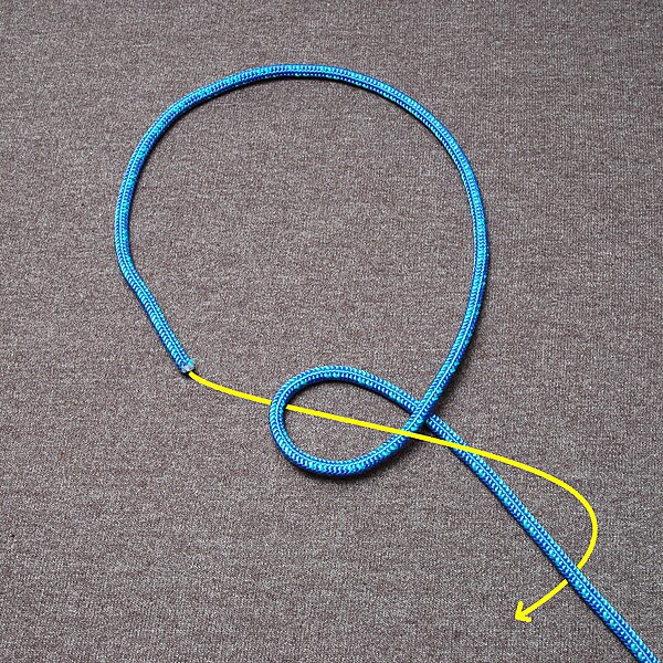 File:Fiador knot ABOK 1110 Tying Step 1.jpg