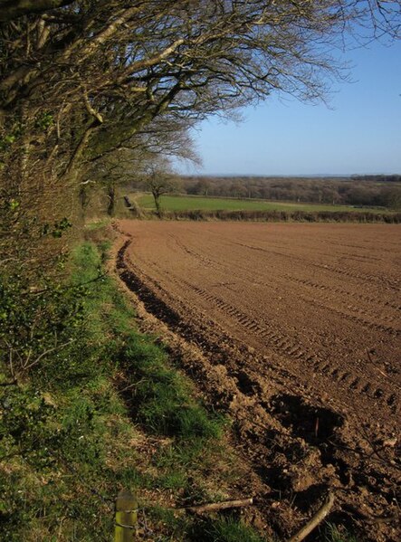 File:Field, Beaford Moor - geograph.org.uk - 3426213.jpg