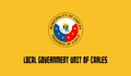 Flag of Carles, Iloilo.png