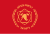 Flag of FireDep of Israel.svg