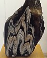 Folded gneiss