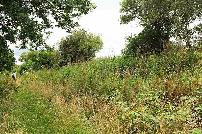 File:Former railway line, Breamore - geograph.org.uk - 5195925.jpg