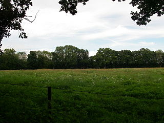 Frankenbury Camp Iron Age hillfort in Hampshire, England