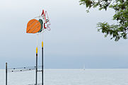 English: A sculpture (bird) in Friedrichshafen. Deutsch: Eine Skulptur (Vogel) in Friedrichshafen.