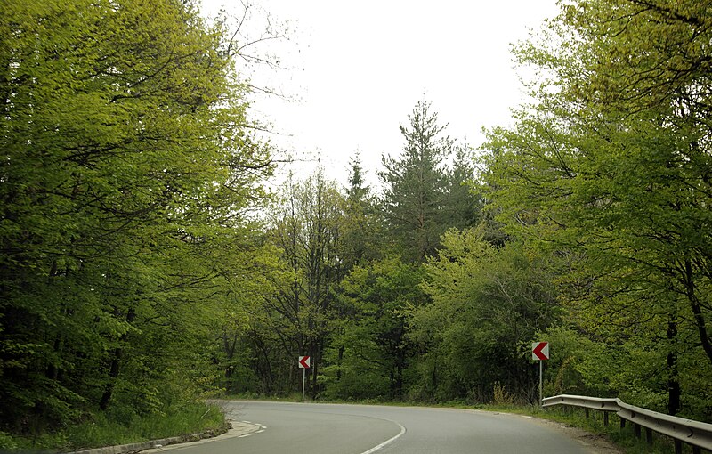 File:Galabets forests.jpg