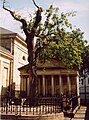 Casa de Juntas y Árbol de Gernika, por Andy Roberts